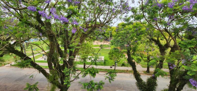 Foto principal do imóvel